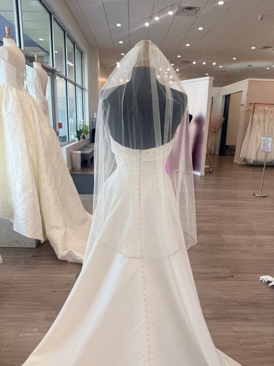 Sparkle Tulle Rhinestone Edge Fingertip Veil